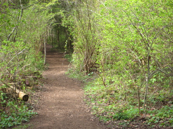 Path at Jack Point