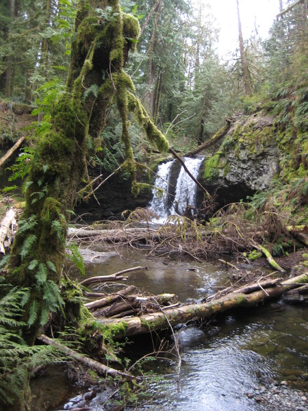 Stocking Creek waterfall