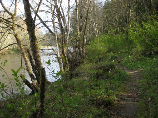 River path