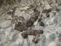 Dirt meets sand